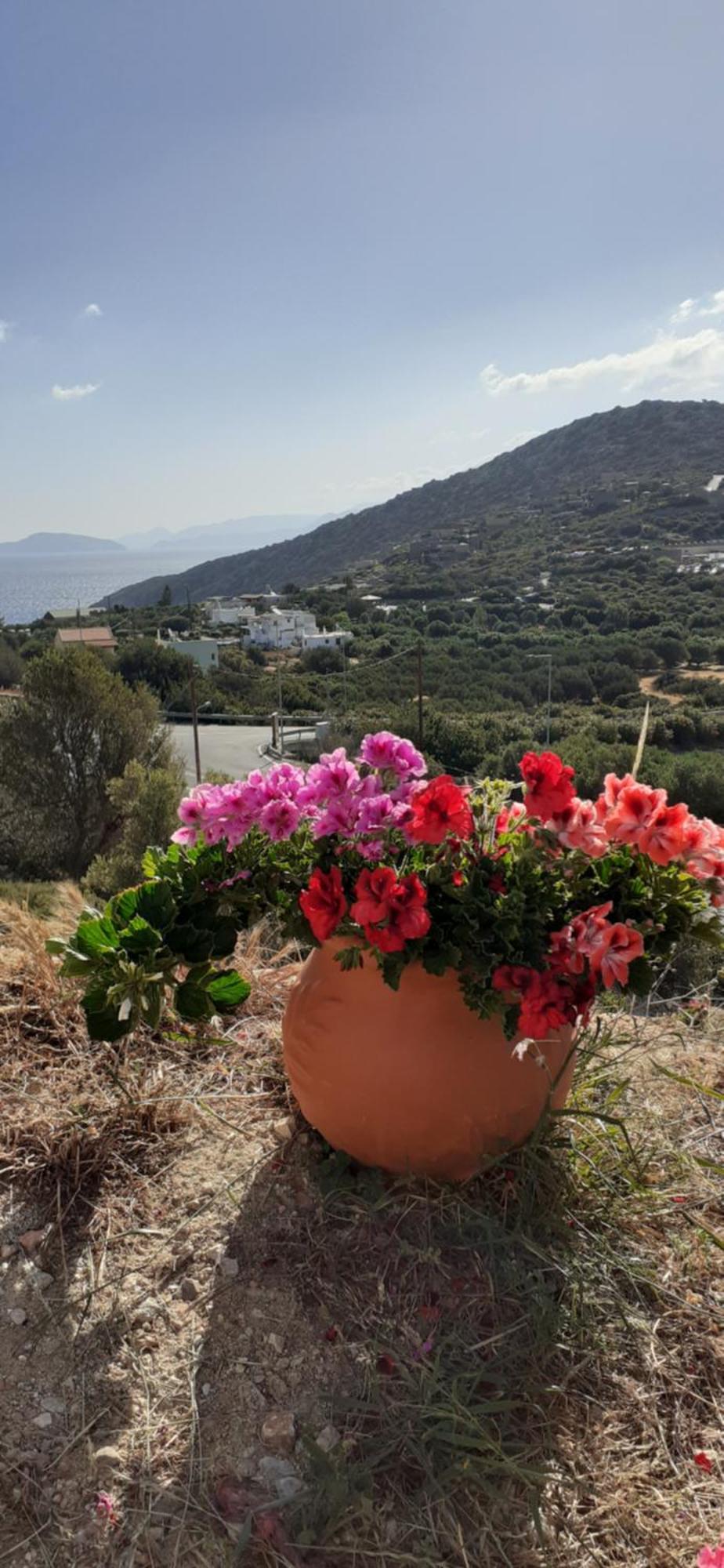 Hari Apartments Vathi, Agios Nikolaos Crete ภายนอก รูปภาพ