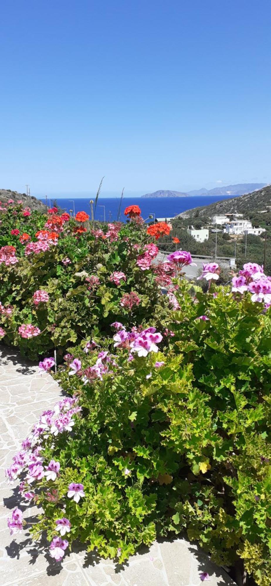 Hari Apartments Vathi, Agios Nikolaos Crete ภายนอก รูปภาพ