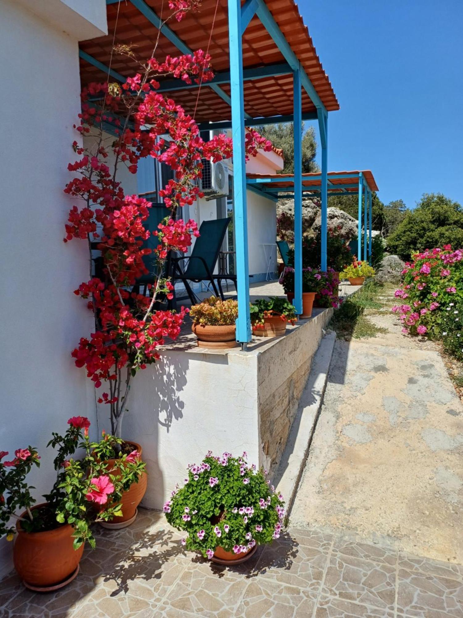 Hari Apartments Vathi, Agios Nikolaos Crete ภายนอก รูปภาพ